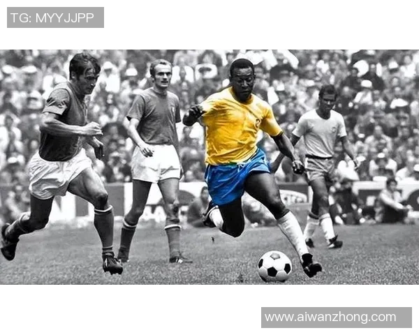 埃尔温足球明星的辉煌成就与影响力盘点